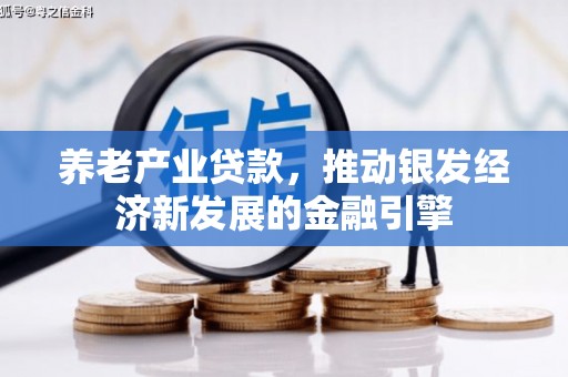 德化养老产业贷款，推动银发经济新发展的金融引擎