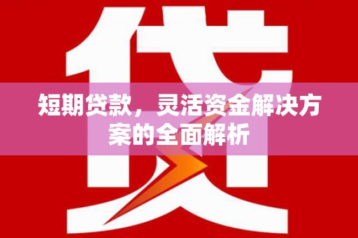 德化短期贷款，灵活资金解决方案的全面解析