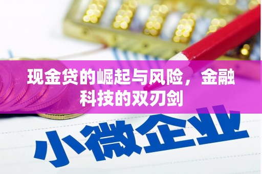 德化现金贷的崛起与风险，金融科技的双刃剑