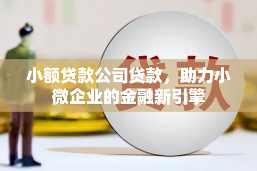 德化小额贷款公司贷款，助力小微企业的金融新引擎