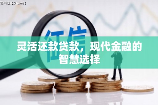 德化灵活还款贷款，现代金融的智慧选择