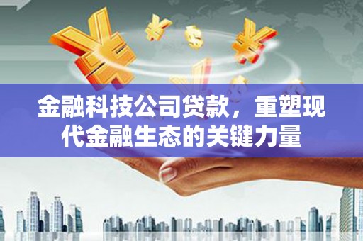 德化金融科技公司贷款，重塑现代金融生态的关键力量