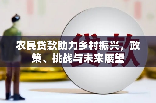 德化农民贷款助力乡村振兴，政策、挑战与未来展望