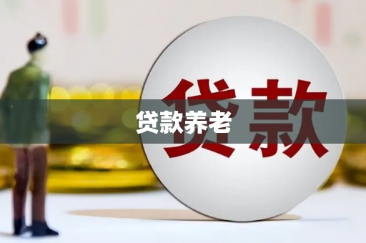 德化贷款养老