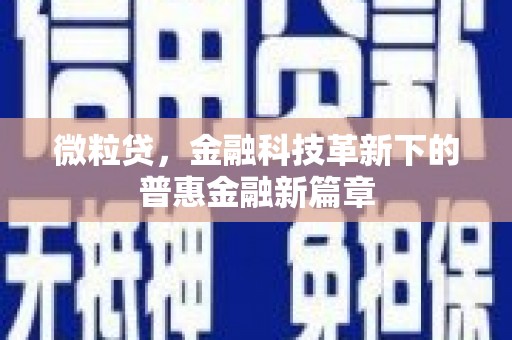 德化微粒贷，金融科技革新下的普惠金融新篇章
