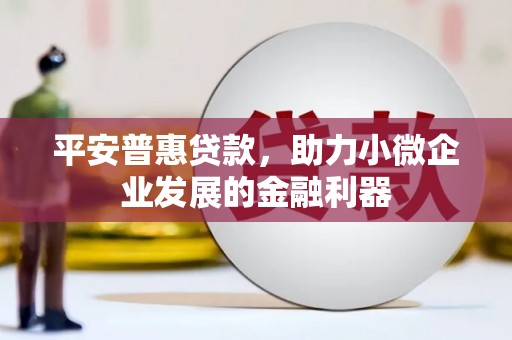 德化平安普惠贷款，助力小微企业发展的金融利器