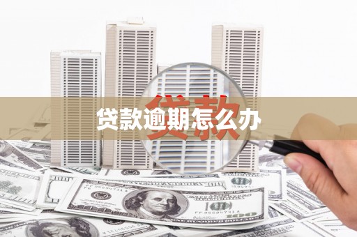 德化贷款逾期怎么办