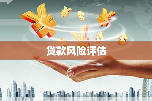 德化贷款风险评估