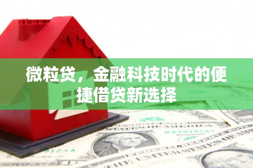 德化微粒贷，金融科技时代的便捷借贷新选择