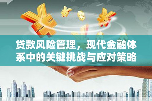德化贷款风险管理，现代金融体系中的关键挑战与应对策略