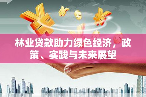 德化林业贷款助力绿色经济，政策、实践与未来展望