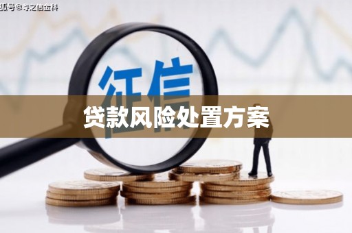 德化贷款风险处置方案
