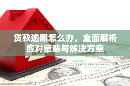 德化贷款逾期怎么办，全面解析应对策略与解决方案