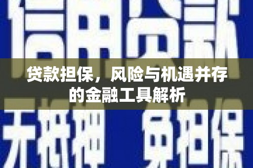 德化贷款担保，风险与机遇并存的金融工具解析