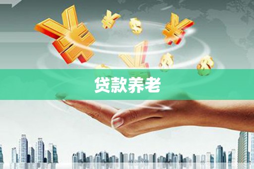 德化贷款养老