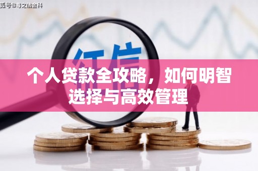 德化个人贷款全攻略，如何明智选择与高效管理