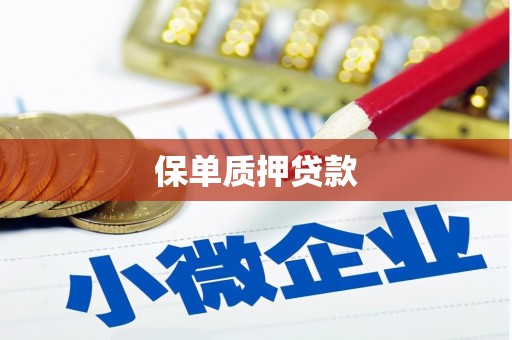 德化保单质押贷款