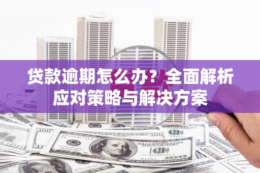 德化贷款逾期怎么办？全面解析应对策略与解决方案