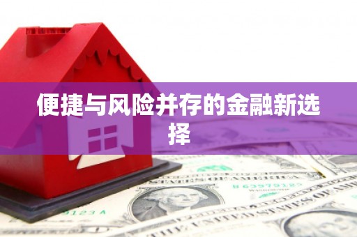德化便捷与风险并存的金融新选择