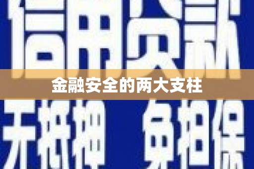 德化金融安全的两大支柱