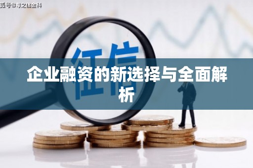 德化企业融资的新选择与全面解析