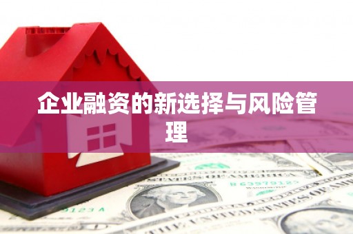 德化企业融资的新选择与风险管理