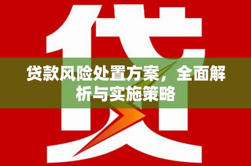 德化贷款风险处置方案，全面解析与实施策略