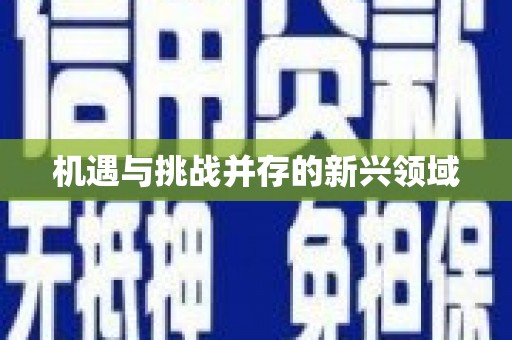 德化机遇与挑战并存的新兴领域