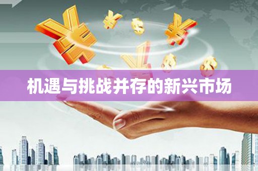 德化机遇与挑战并存的新兴市场