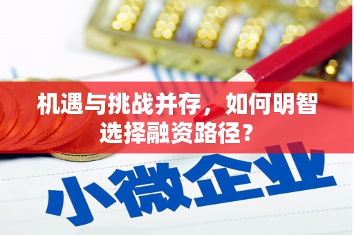 德化机遇与挑战并存，如何明智选择融资路径？