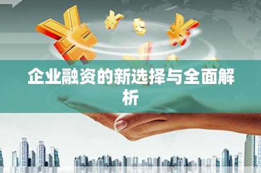 德化企业融资的新选择与全面解析