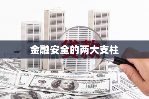 德化金融安全的两大支柱
