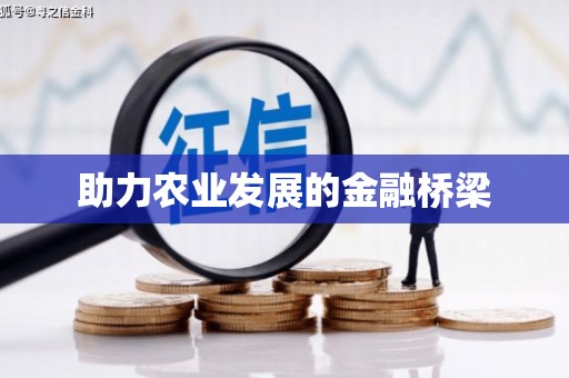 德化助力农业发展的金融桥梁